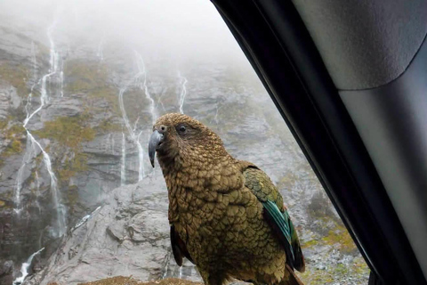 From Lyttelton: 4 Scenic Private Tours for Cruise Travelers Day tour to Hanmer Springs Hot Pools