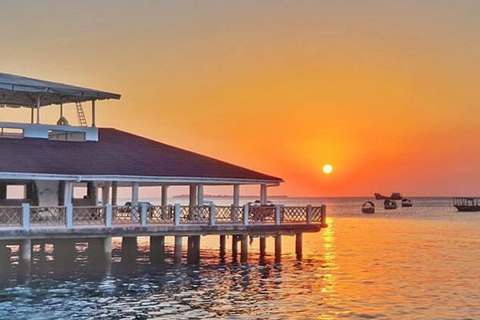 Zanzibar: tour in tuk-tuk di Stone Town al tramonto e mercato notturnoGruppo di 3 o più persone