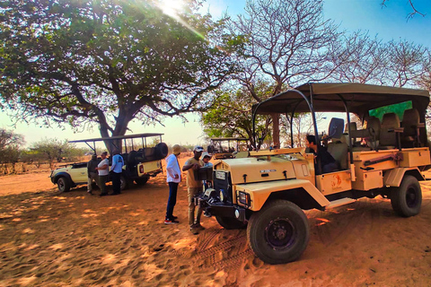 Viagem de 1 dia saindo de Victoria Falls: Safári terrestre e fluvial no Parque Nacional de Chobe