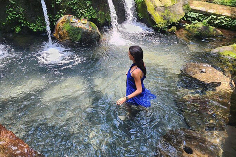 Sansibar: Kombi-Tour zum Jozani-Wald und zur Salaam-Höhle