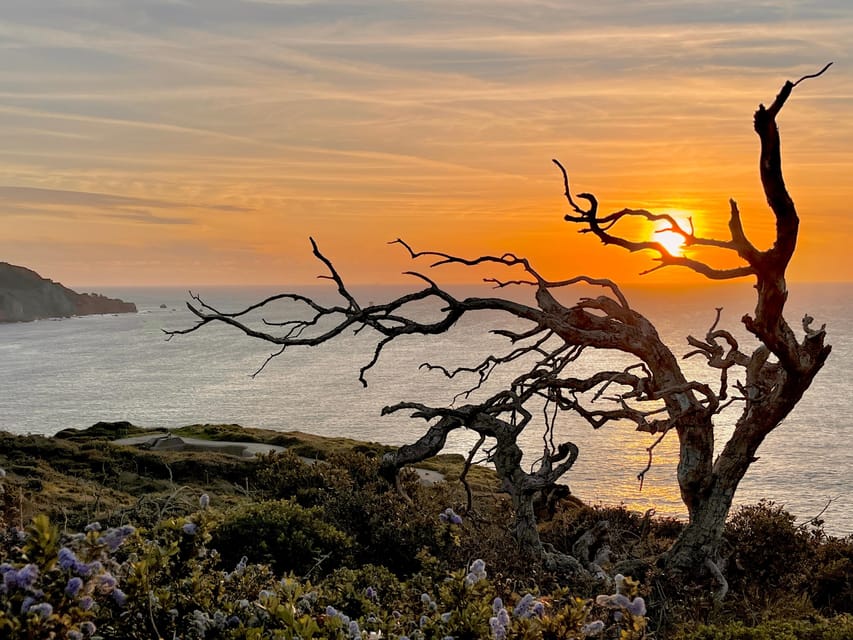 CUSTOM PHOTO ADVENTURES TO THE BAY AREA'S MOST EPIC SCENERY image 3