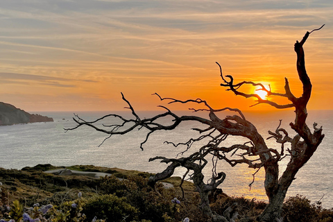 CUSTOM PHOTO ADVENTURES TO THE BAY AREA'S MOST EPIC SCENERY 6-HOUR PHOTO ADVENTURE TO THE BAY AREA'S MOST EPIC SCENERY