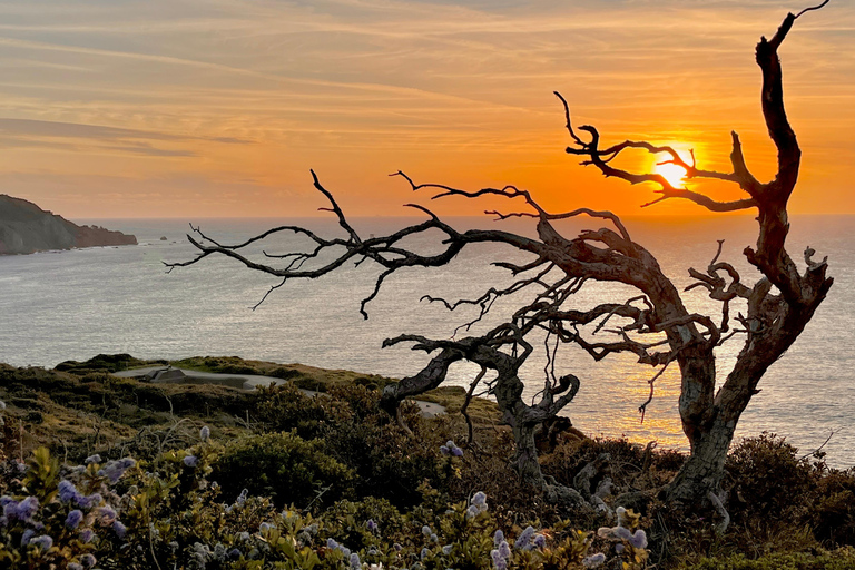 CUSTOM PHOTO ADVENTURES TO THE BAY AREA'S MOST EPIC SCENERY 6-HOUR PHOTO ADVENTURE TO THE BAY AREA'S MOST EPIC SCENERY
