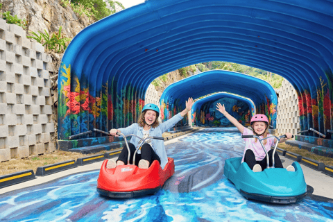 Luge Racing, Alpaca World and Peach Picking tour from Seoul Group tour from Dongdaemun