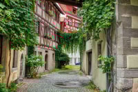 Meersburg, Private Guided Walking Tour - Housity