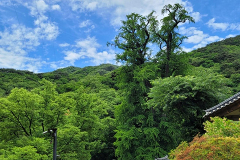 Seoul:Yangpyeong Day Trip with Dumulmeori & Yongmunsa Temple