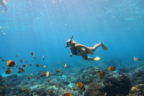 Nusa Penida: Snorkeling Adventure 3-Spots with Manta Rays Nusa Penida: Snorkeling Manta Point 3-Spots with Manta Rays