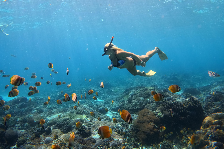 Nusa Penida: Snorkeling Adventure 3-Spots with Manta Rays Nusa Penida: Snorkeling Manta Point 3-Spots with Manta Rays