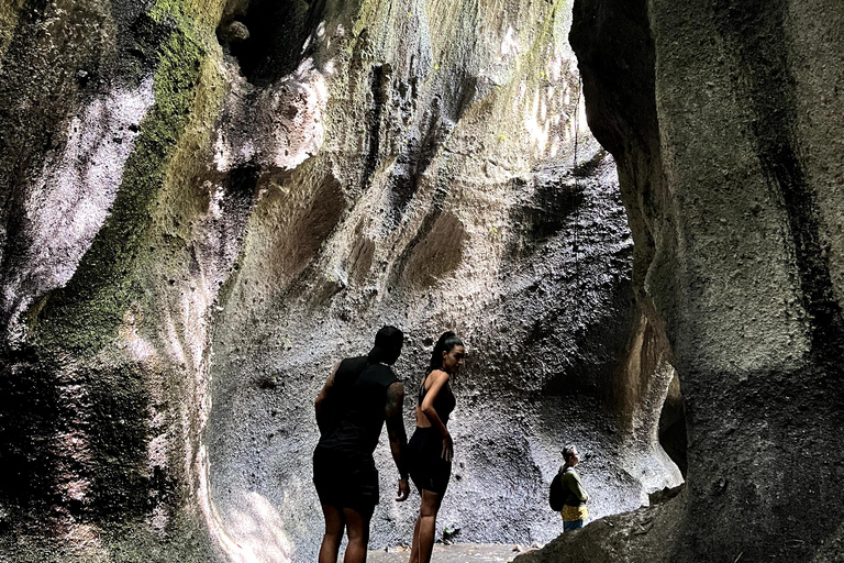 Entdecke die versteckten Juwelen der Wasserfälle in UbudGemeinsame Gruppe mit englischsprachigem Guide Tour