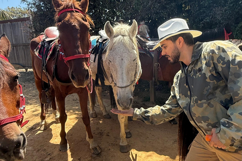 2-hour horseback riding + Private transportation + Photos & videos + Gift for the first 5 to book 2-hour horseback ride + private transportation + photos & videos + gift for the first 5 to book.
