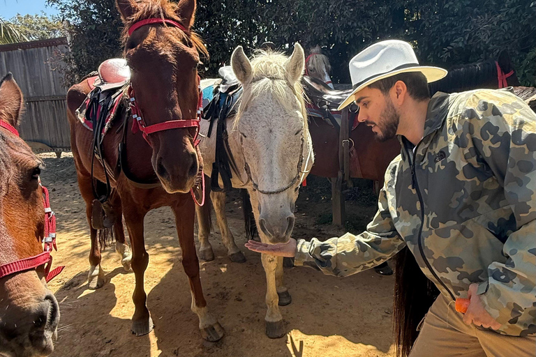 2-hour horseback riding + Private transportation + Photos & videos + Gift for the first 5 to book 2-hour horseback ride + private transportation + photos & videos + gift for the first 5 to book.