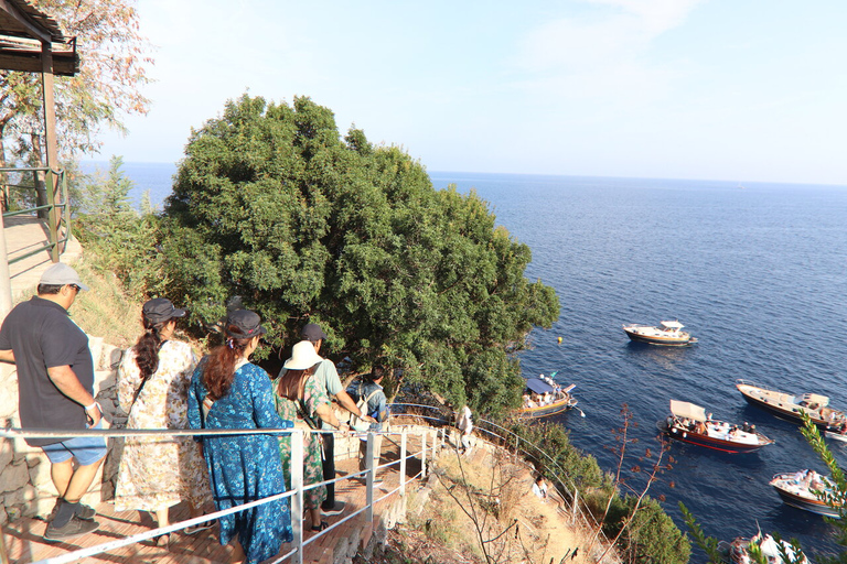 From Sorrento: Capri all inclusive with Blue Grotto visit