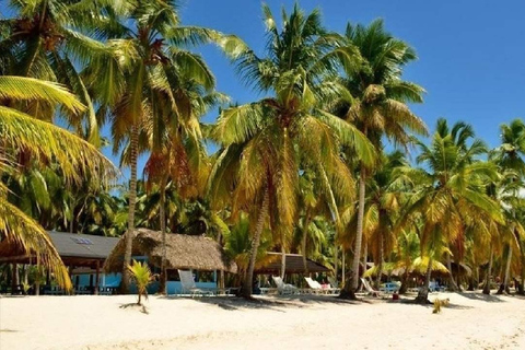 Punta Cana: Saona Island Day Trip with Lunch & Drinks