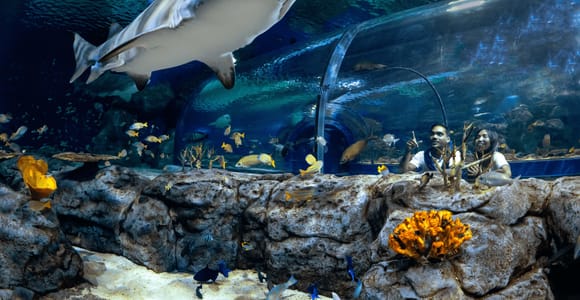 Port Louis: Odysseo Oceanarium Mauritius Ticket