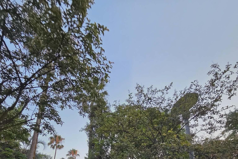 Echoes of Batumi- Walking tour in Batumi