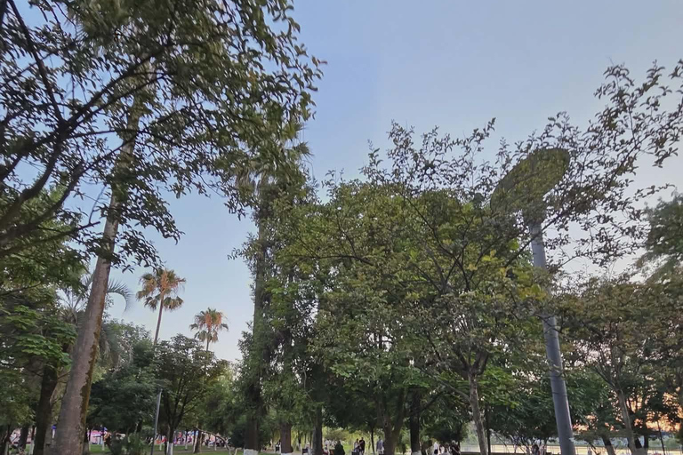 Echoes of Batumi- Walking tour in Batumi