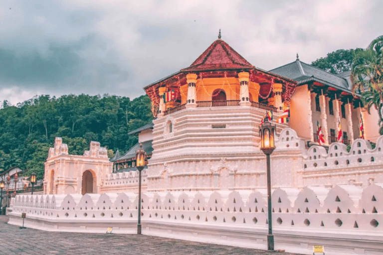 Sigiriya to Ella Scenic Train Transfer with Kandy Sightseein