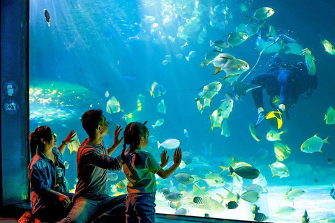 Angkor Wildlife & Aquarium Private Round-Trip Transfer Private Round-Trip Transfer by Tuk Tuk
