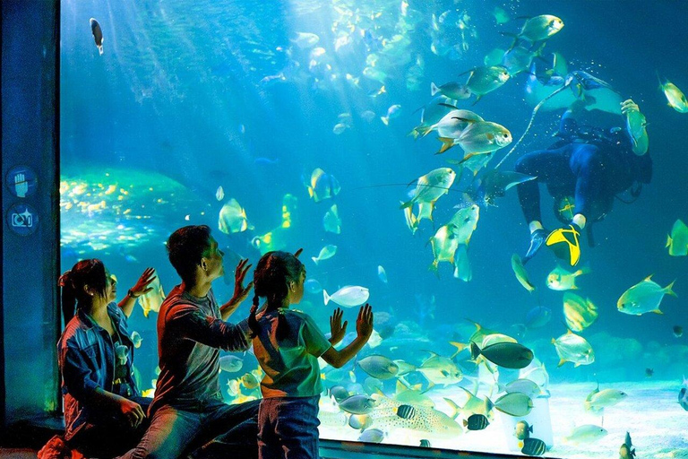 Angkor Wildlife & Aquarium Private Round-Trip Transfer Private Round-Trip Transfer by Tuk Tuk