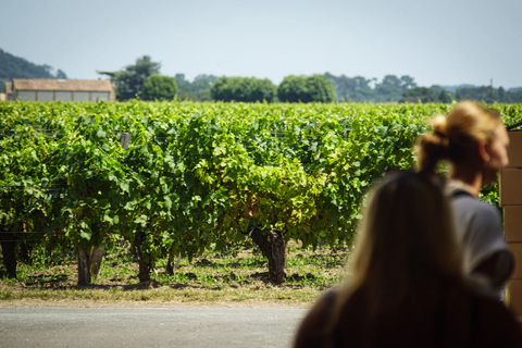 Tour & tasting of a Saint-Émilion Grand Cru Tour and tasting of a Saint-Émilion Grand Cru