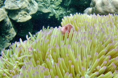 Phu Quoc: South Islands Snorkeling Boat Tour