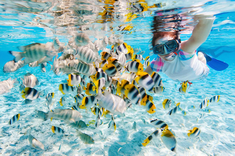 Koh Larn Guided Trip with Snorkelling and Jet Ski Ride Tour with Driver