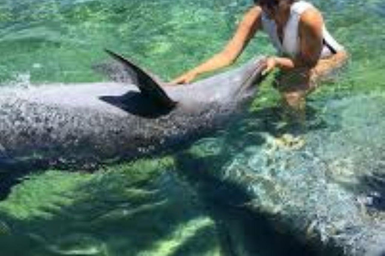 Cartagena: 3 Exclusive Destinations in the Rosario Islands