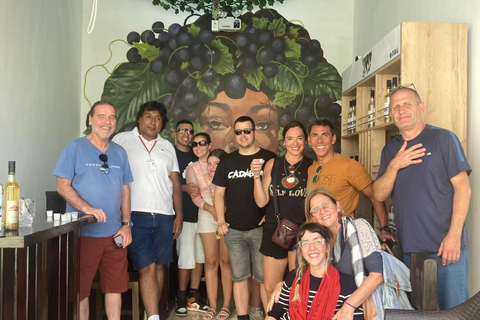 colonial lima walking tour + pisco tasting