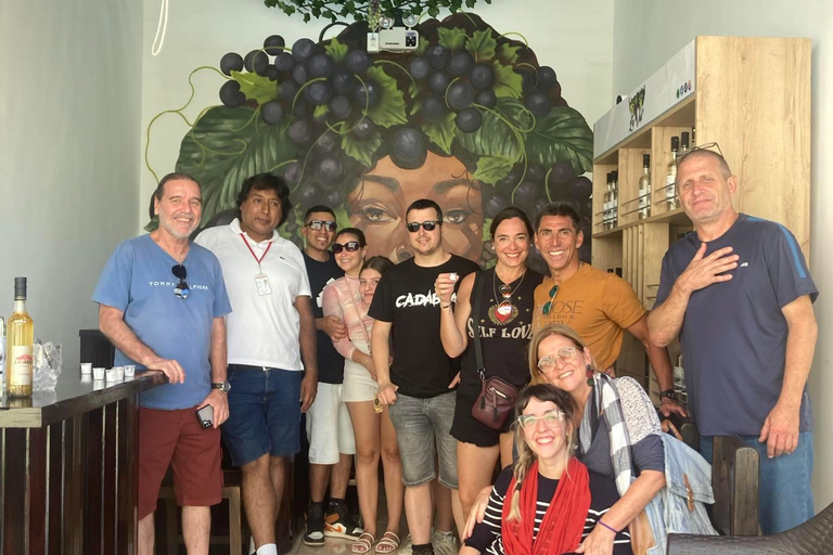 colonial lima walking tour + pisco tasting