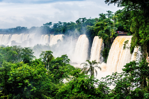 Full-Day Brazil and Argentina Falls Tour with Expert Guide Full-Day Iguazu Falls Tour (Brazil and Argentina Sides) with Expert Guide