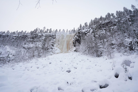 Rovaniemi: Kourouma Canyon Hiking Tour with BBQ