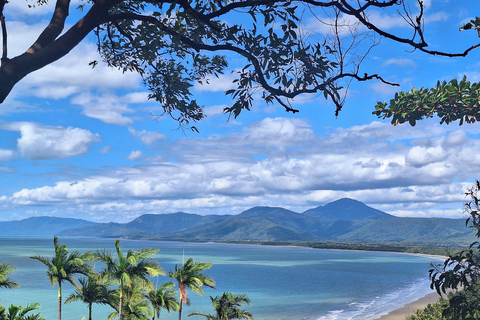 Cairns: Port Douglas, Winery, and Mossman Gorge Tour