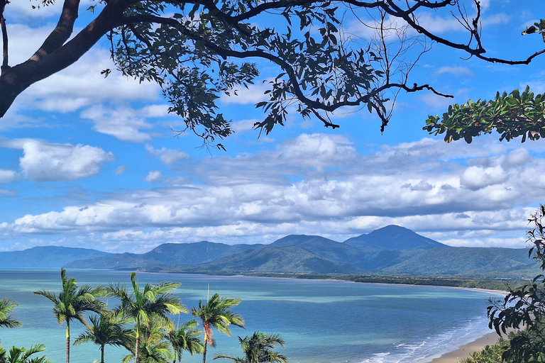 Cairns: Port Douglas, Winery, and Mossman Gorge Tour