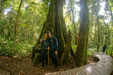 Två dagar Doi Inthanon nationalpark