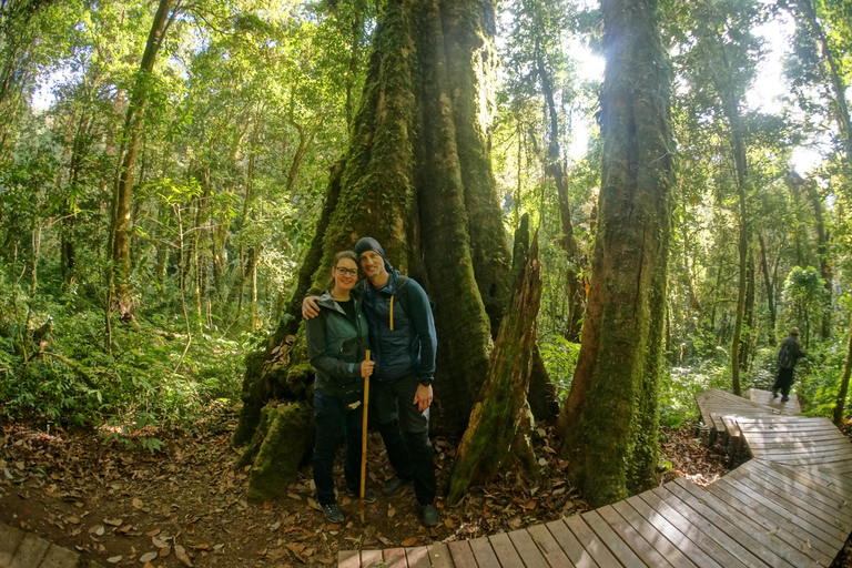 Deux jours au parc national de Doi Inthanon