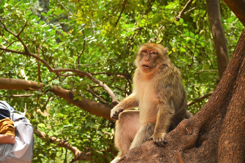Day Trip To Ouzoud Waterfalls & Boat Ride From Marrakech