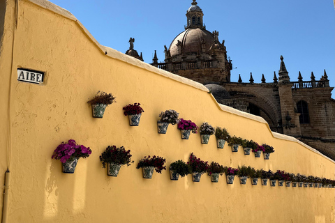 Jerez de la Frontera: Historical Sightseeing Tour, Winery Tour, and Wine Tasting