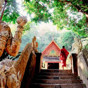 Chiang Mai: Monk's Trail Hike, Wat Pha Lat & Doi Suthep Tour Chiang Mai: Monk's Trail Hike, Wat Pha Lat & Doi Suthep Tour