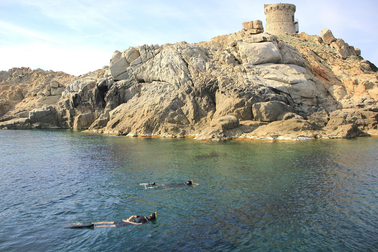 Cargèse: Capo Rosso Snorkeling Adventure with Boat Ride