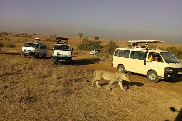 Nairobi National Park: Small-Group Sunrise Game Drive Safari