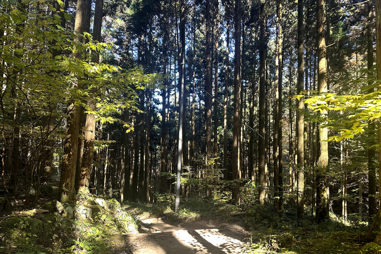 Nakasendo Samurai Road Hiking tour from Nagoya