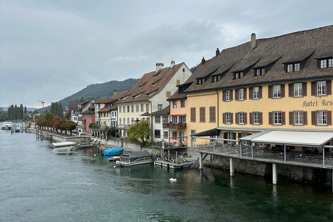 From Zurich: Private Tour to Rheinfalls and Stein am Rhein