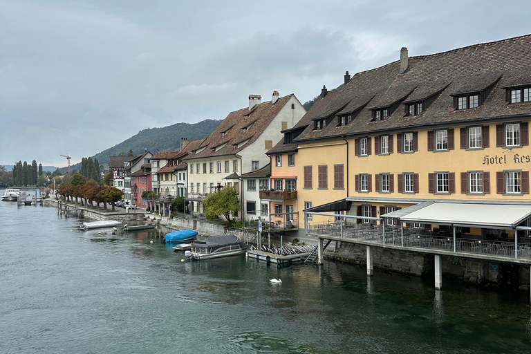 From Zurich: Private Tour to Rheinfalls and Stein am Rhein