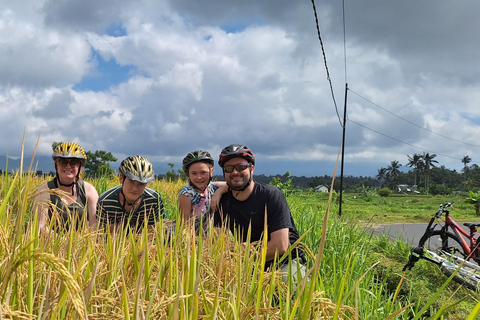 Bali: Tegenungan Waterfall, Ubud, and Rice Fields Tour