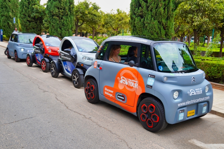 Malaga: Sunset to Night Tour by Electric Car Standard Option
