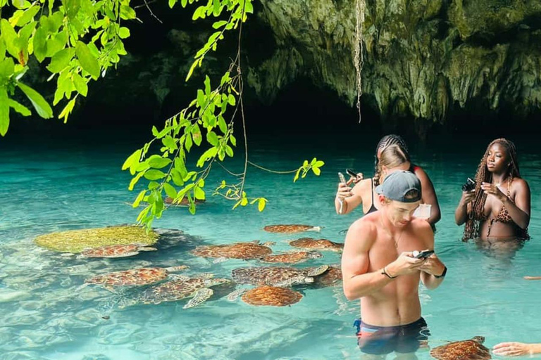 Zanzibar : baignade avec les dauphins et les tortues de mer de MnembaZanzibar : baignade avec les dauphins et les tortues marines de Mnemba