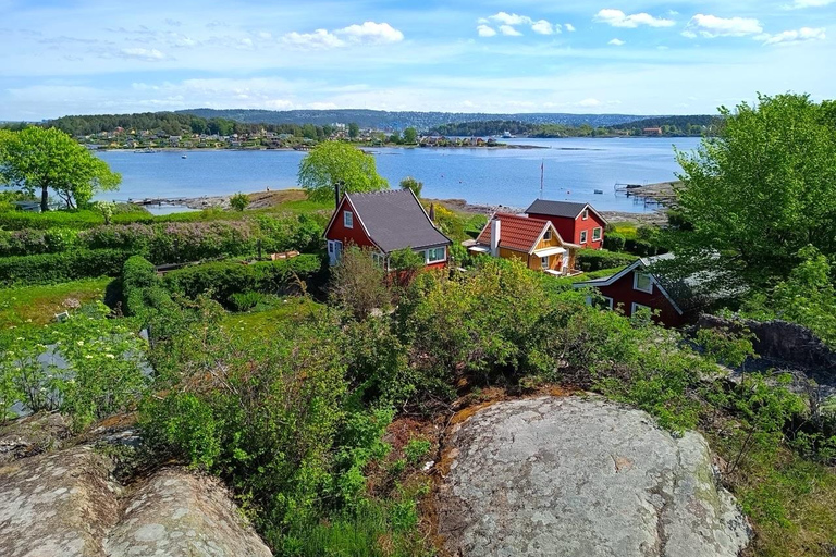 Private Inselhopping-Tour durch OsloPrivate Inselhopping-Tour in Oslo