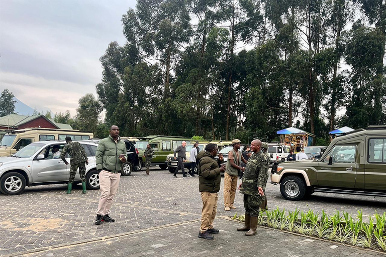 From Kigali: Bisoke Summit Trek, Crater Lake 1 Day Safari