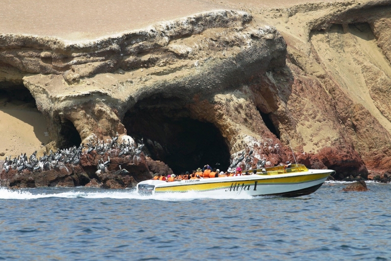 From Lima: Tour with Ica-Paracas-Cusco 9D/8N + ☆☆☆ From Lima: Tour with Ica-Paracas-Cusco 9D/8N + Hotel ☆☆☆