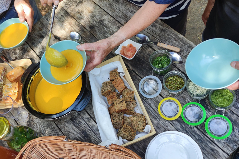 Avventura nella natura - Escursione in torbiera, Foraging, Cultura di campagna